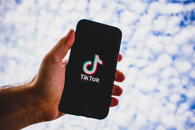 Crești Urmăritorii pe TikTok în 2025